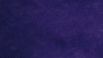 Los mejores amigos que puedes tener de acuerdo a tu signo zodiacal