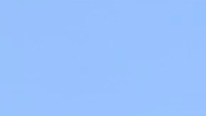 El 16 de julio, Lynwood cumple 100 años como ciudad. (Araceli Martínez/La Opinión)