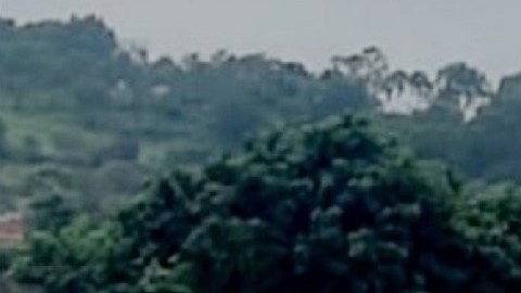Narcos tiran 5 cuerpos en zona que el CJNG y Cárteles Unidos pelean
