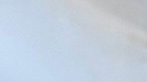 Justine Lemus recibió ayuda económica por parte del programa AltaMed Gives y Oportun. (Suministrada)