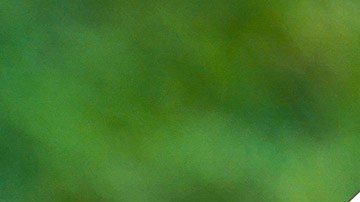 Orange Chicken-Panda Express-Beyond Meat