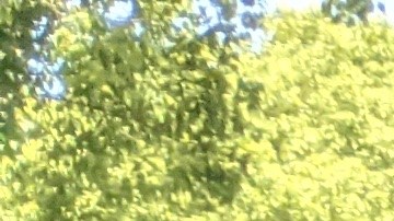 Trabajadores de la limpieza se unieron para pedir que se renueve su contrato. (Jacqueline García/La Opinión)