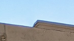 Margarita Larin, trabajadora de limpieza y miembro del SEIU-USWW. (Jacqueline García/La Opinión)