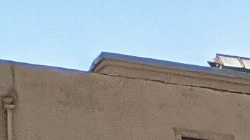 Margarita Larin, trabajadora de limpieza y miembro del SEIU-USWW. (Jacqueline García/La Opinión)