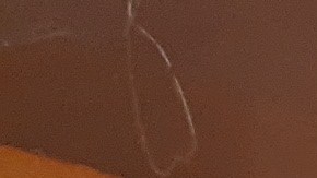 Los salarios a estos empleados pueden empezar a $17 la hora. (Jacqueline García/La Opinión)