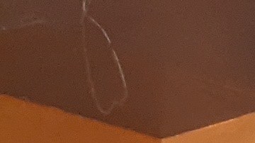 Los salarios a estos empleados pueden empezar a $17 la hora. (Jacqueline García/La Opinión)