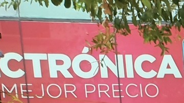 Consulta Popular para enjuiciar a expresidentes