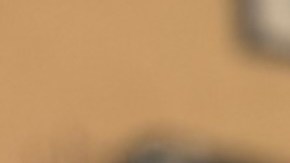 Gaudencio Moreno, un oaxaqueño dedicado a la comida italiana. (Araceli Martínez/La Opinión)