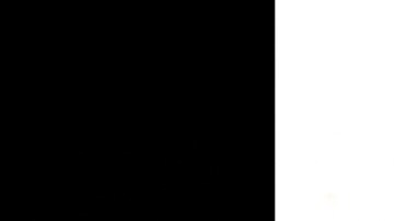 Miguel Ángel Treviño Morales el Z-40