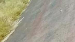 Erlinton Antonio Flores Ortiz busca asilo político por segunda vez en EE UU. (Cortesía)