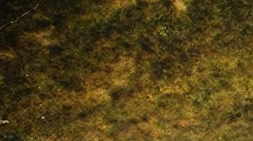 Transportista es un podcast de iHeart Media.