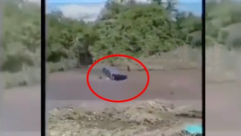 VIDEO: Mueren ahogados 6 presuntos narcos de Blancos de Troya; se los llevó corriente de río