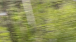 Volkswagen-Golf-R-Variant-080721-05