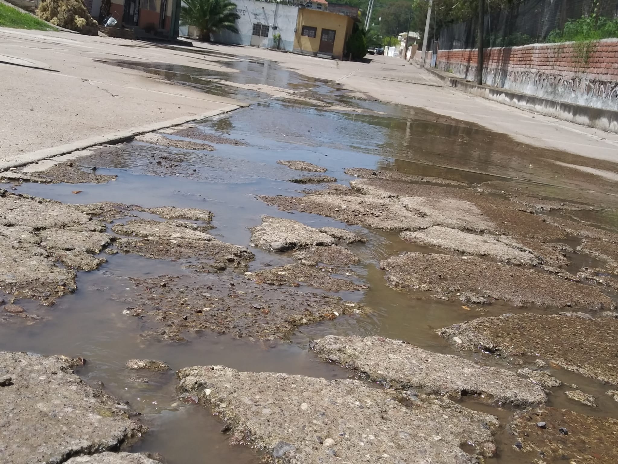 Aguas negras brotan en las calles de Las Animas