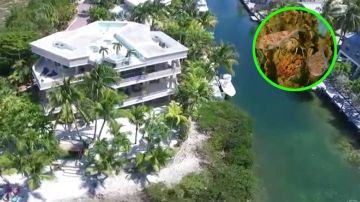 Video: Venden espectacular mansión en Florida con su propio arrecife de coral al interior