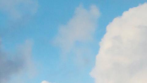 Un avión de carga cae en medio del océano cerca de Hawaii: los dos pilotos sobreviven