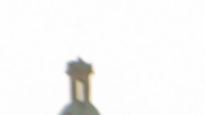 Caravana graduación auto cartón viral