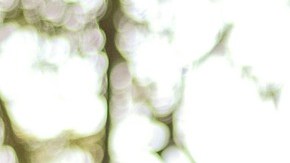 Cómo equilibrar tus charkas por primera vez