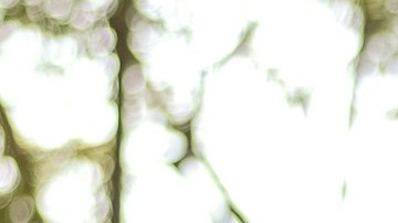 Cómo equilibrar tus charkas por primera vez