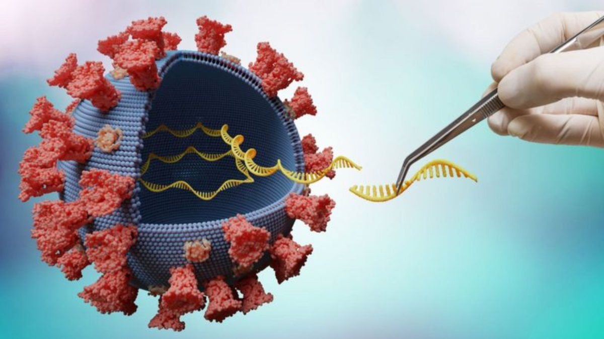 5 noticias de la ciencia