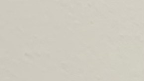 Valeria Peña solicitará la ayuda para renovar DACA. (Araceli Martínez/La Opinión)