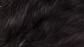 Eduardo Santamarina y Marjorie de Sousa besándose en 'La Desalmada'.