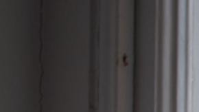 Cómo tener energía positiva en el hogar