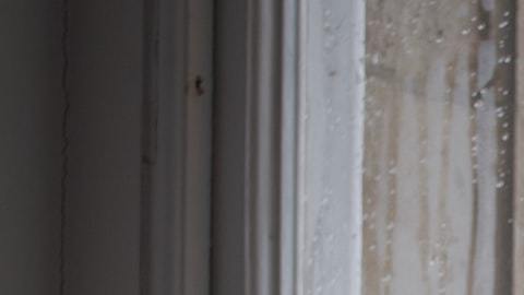 Cómo tener energía positiva en el hogar
