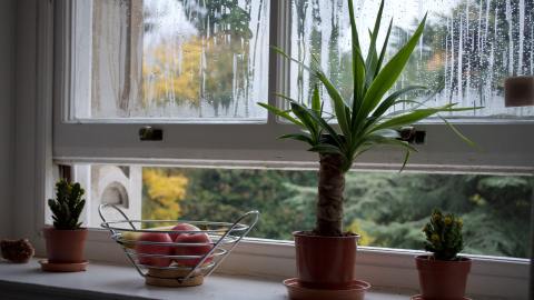 Cómo tener energía positiva en el hogar