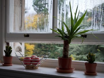 Cómo tener energía positiva en el hogar