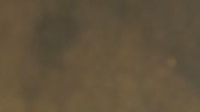 'Huerfanos de su Tierra', la nueva telenovela de UniMas.