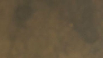 'Huerfanos de su Tierra', la nueva telenovela de UniMas.