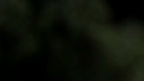 José Ron y Livia Brito protagonizan 'La Desalmada'.