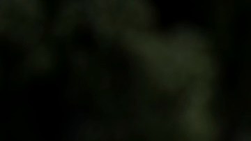 José Ron y Livia Brito protagonizan 'La Desalmada'.