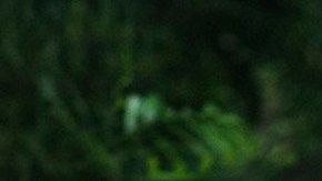 José Ron es Rafael Toscano en 'La Desalmada'.