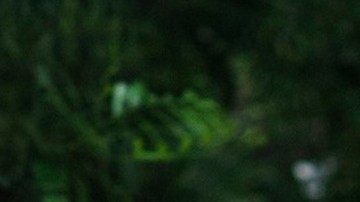 José Ron es Rafael Toscano en 'La Desalmada'.