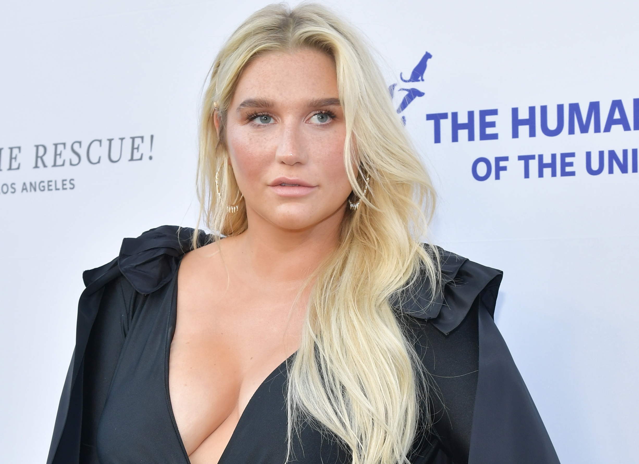 Puedes verte HERMOSA sin maquillaje y estas 21 celebridades lo demuestran |  Estilo de Vida Belleza | Univision, image size:2453x1784