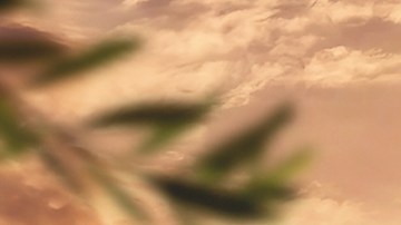 Livia Brito protagoniza 'La Desalmada' para Televisa y Univision