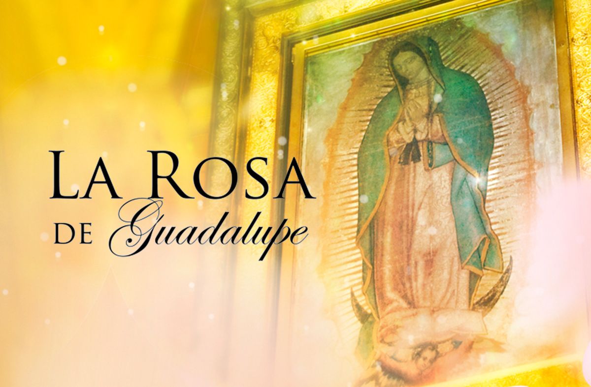 Univision vs Telemundo: ‘La Rosa de Guadalupe’ is once again the most watched of Latin primetime