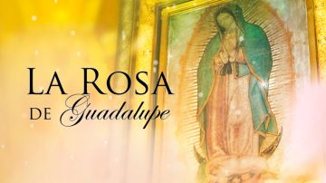 'La Rosa de Guadalupe' de Univision.