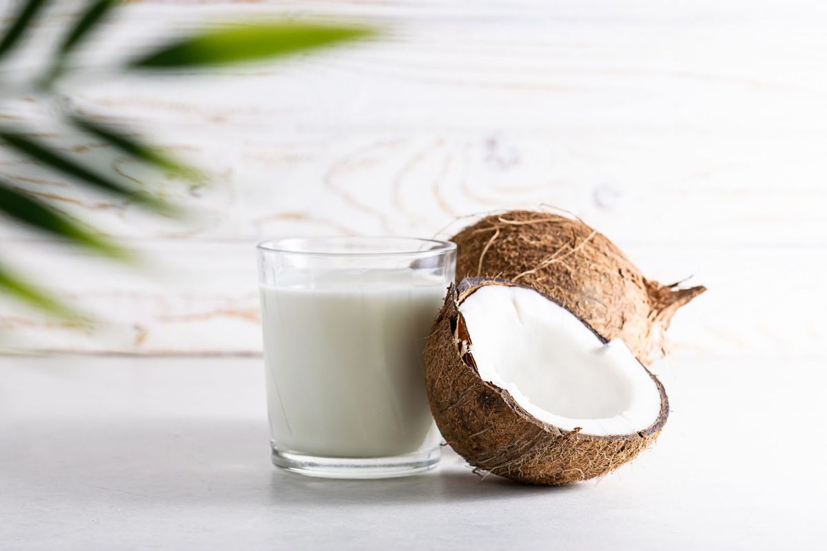 La leche de coco es una opción de bajo contenido en proteínas y alto contenido en grasa.