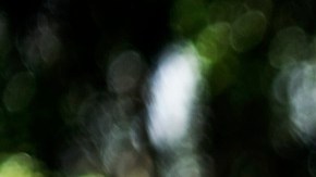 Livia Brito es Fernanda en 'La Desalmada'.