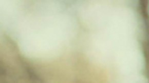 Nare y Sancar en 'La Hija del Embajador'