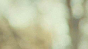 Nare y Sancar en 'La Hija del Embajador'