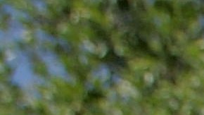 Se recomienda mantenerse bien hidratado debido a las altas temperaturas.