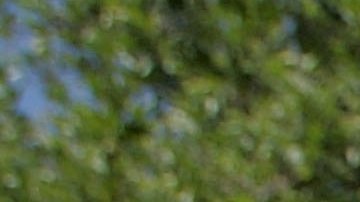 Se recomienda mantenerse bien hidratado debido a las altas temperaturas.