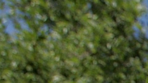 Se recomienda mantenerse bien hidratado debido a las altas temperaturas.