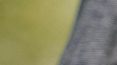 Errores del sitio web del IRS que están poniendo en dificultades a las familias para registrarse y recibir el crédito tributario para hijos-pexels-tim-samuel-5835330.jpg