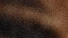 Estas son las fechas en que el IRS enviará los otros 5 cheques del crédito tributario por hijos-pexels-yan-krukov-8613319.jpeg