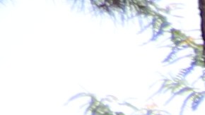 Se debe regar lo necesario y no dejar la manguera en el jardín con el grifo abierto por horas. / fotos: Jorge Luis Macías.